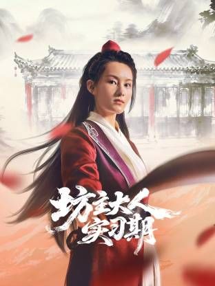 坊主大人实习期电视剧